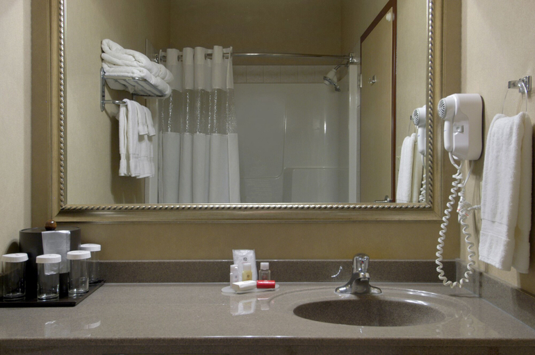 Bathroom 4, Ramada by Wyndham Drumheller Hotel & Suites, Division No. 5
