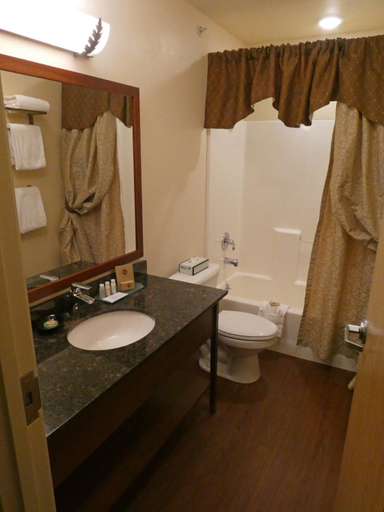 Bathroom 4, Pike's Waterfront Lodge, Fairbanks North Star