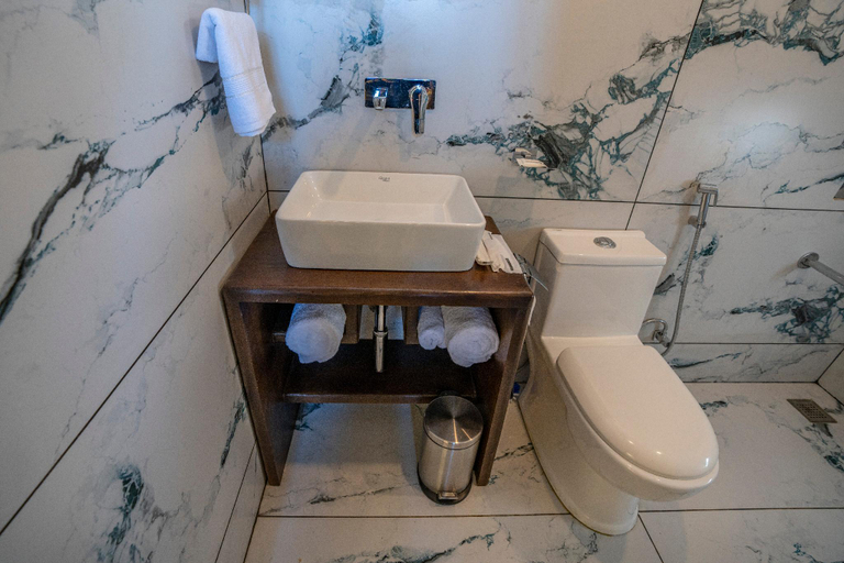 Bathroom, Solomons Gray, Baramulla