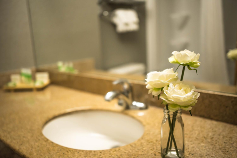 Bathroom 4, Cambridge Hotel and Conference Centre, Waterloo