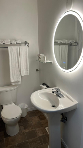 Bathroom 3, The Ash Grove Inn, Renfrew