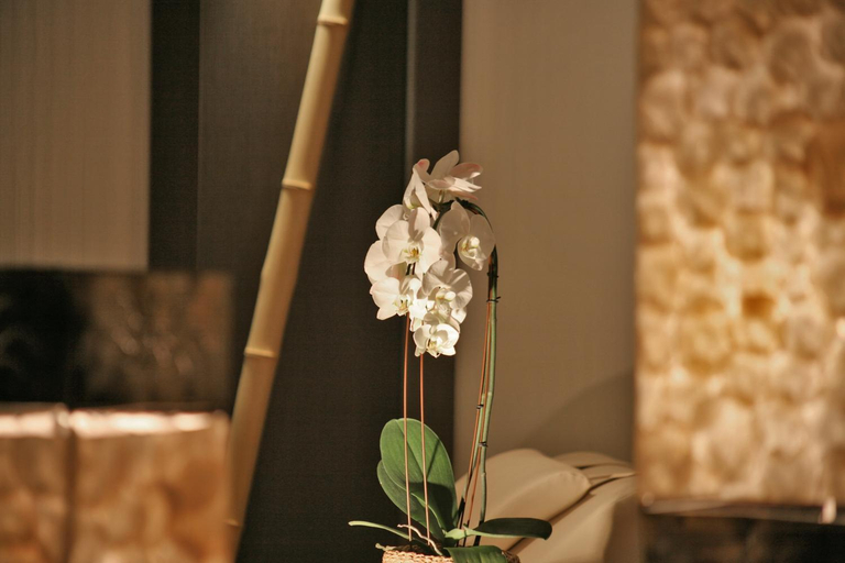 Food & Drinks 5, Hotel & SPA Waldecker Hof, Waldeck-Frankenberg