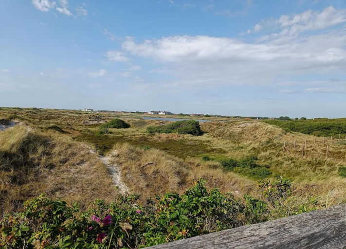 View from property 2, Ferienwohnung in St. Peter-ording, Nordfriesland
