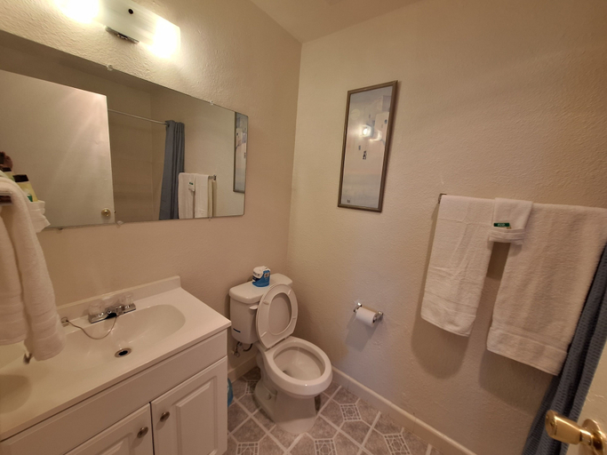 Bathroom 4, Leisure Lodge Motel, Cibola