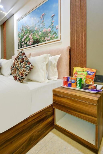 Room 2, Hotel Dream World, Delhi