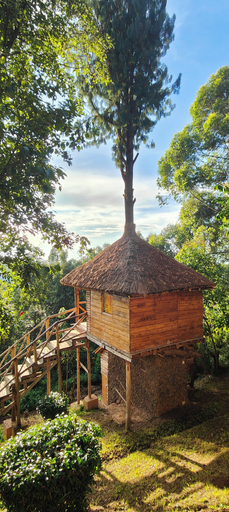 Others 4, Agandi Uganda Eco-lodge, Rubanda