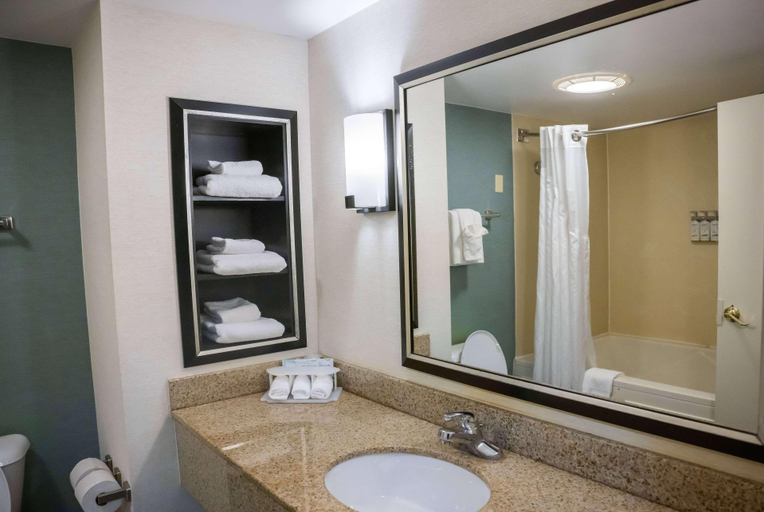 Bathroom 4, Wyndham Garden Erie, Erie