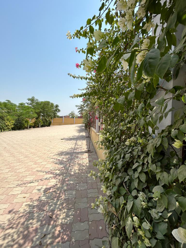 Others 5, Brick Field, Varanasi