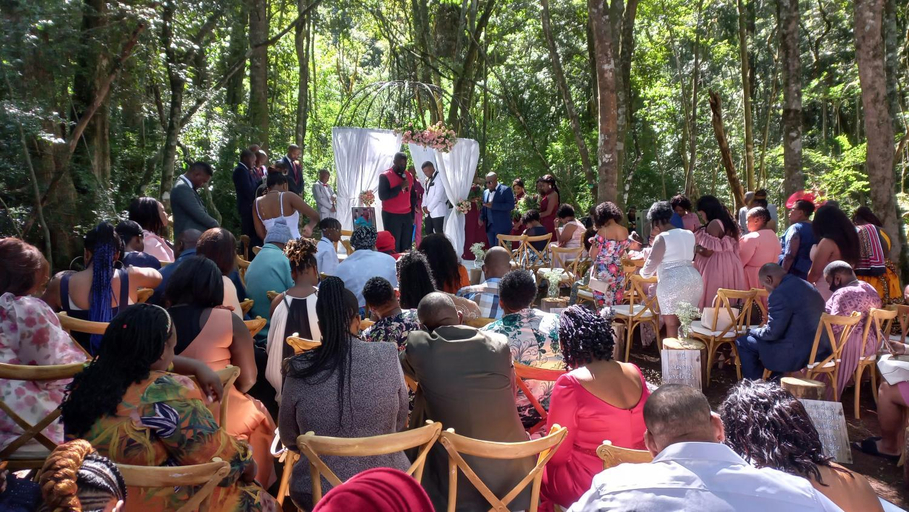 Food & Drinks 4, Mount Sheba Rainforest Hotel, Restaurants & Hiking, Ehlanzeni