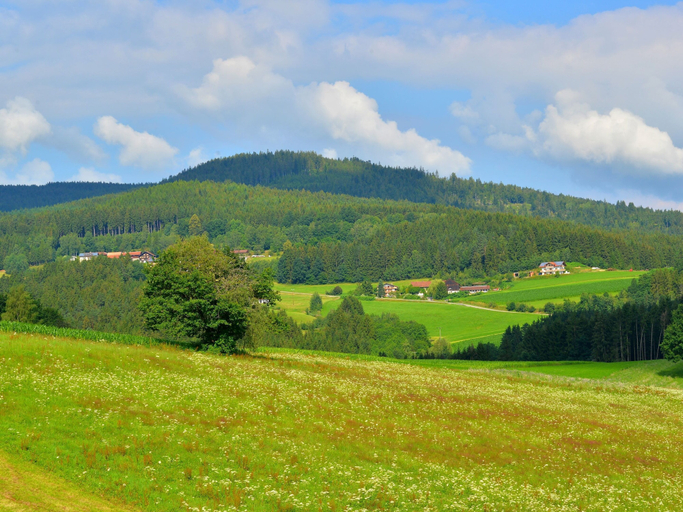 View from property 5, Ruhiges Ferienhaus in Drachselsried in Waldnahe, Regen