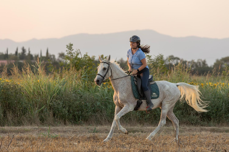 Others 5, Cal Robusto Turisme Equestre, Girona
