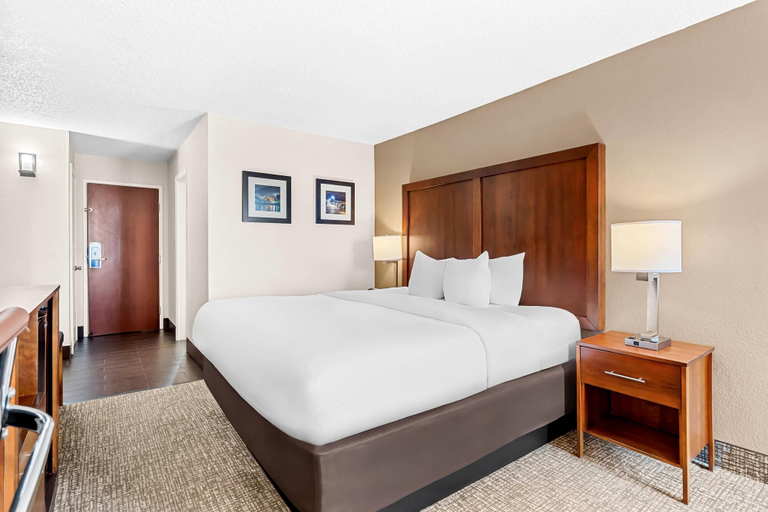 Bedroom 3, Comfort Inn University, New Hanover