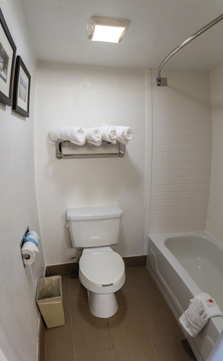 Bathroom 3, Comfort Inn & Suites Lakeland North I-4, Polk