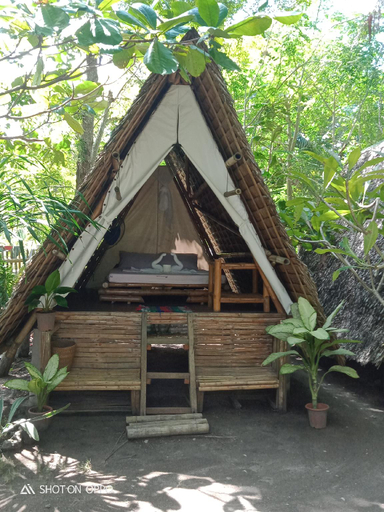 Others 4, Georgia's Neverland Hostel, Daanbantayan