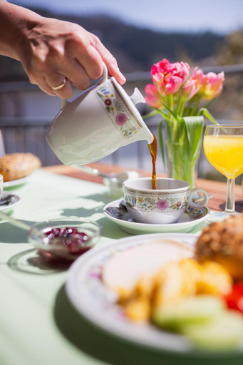 Food & Drinks 5, Hotel am Muhlbach, Rastatt