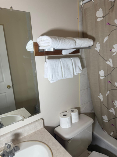 Bathroom, SUNRISE MOTEL, Division No. 4