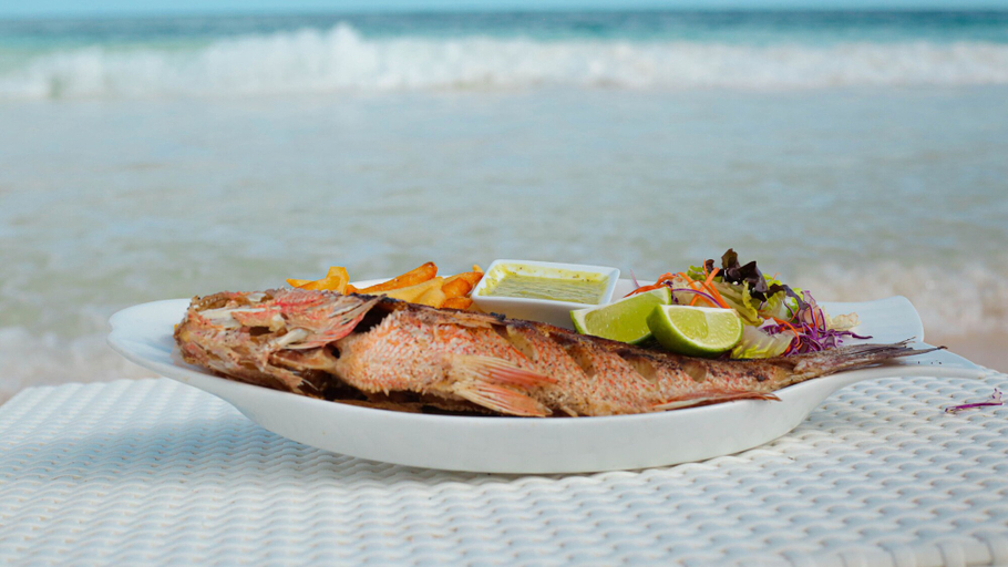 Restaurant 5, Villa Las Estrellas Tulum - located at the party zone, Cozumel