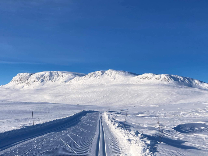 Others 4, person holiday home in GEILO-By Traum, Hol