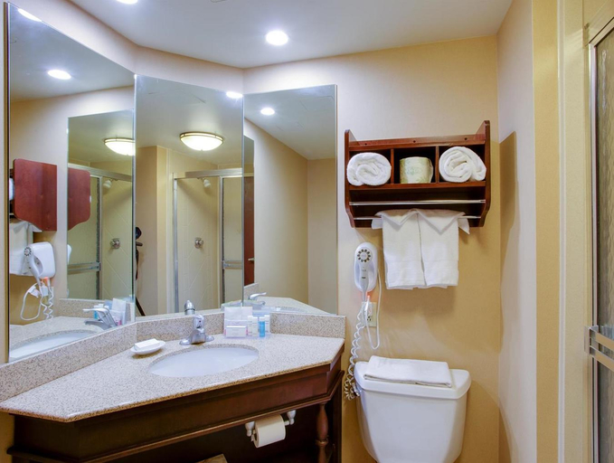 Bathroom 5, Holiday Inn Express VOORHEES - MT. LAUREL by IHG, Camden