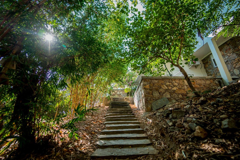 Others 5, Villa Bougainvillaea, Udaipur