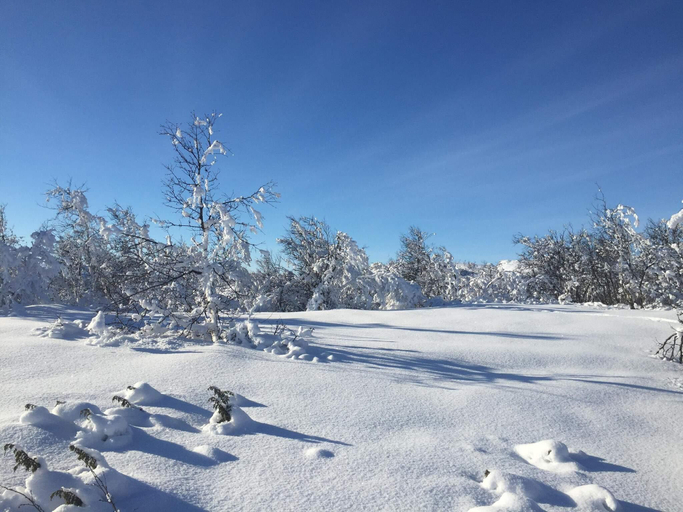 Others 2, person holiday home in GEILO-By Traum, Hol