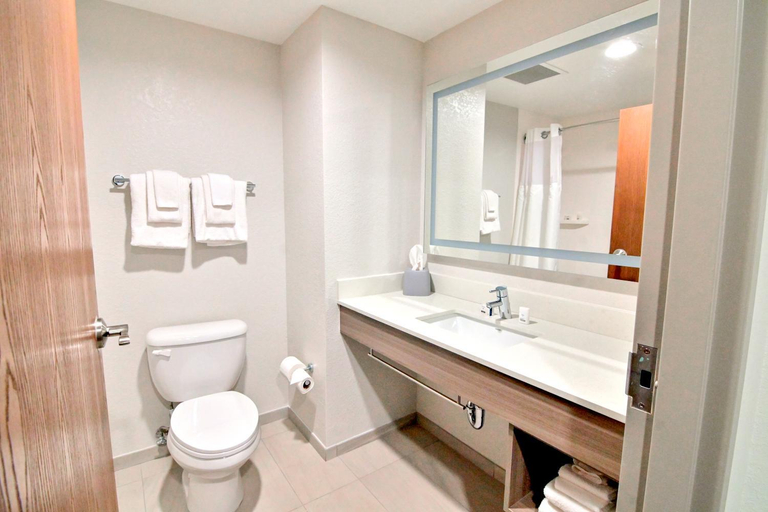 Bathroom 5, Holiday Inn Express & Suites Palm Coast - I-95, Flagler