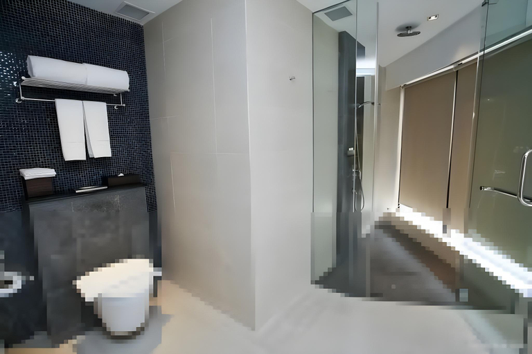 Bathroom 5, D'Hotel, Singapore