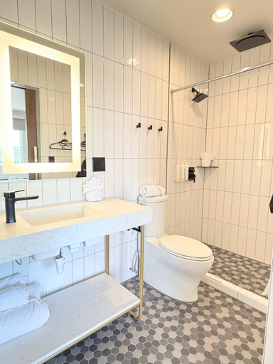 Bathroom 4, The Alice Hotel, Pima