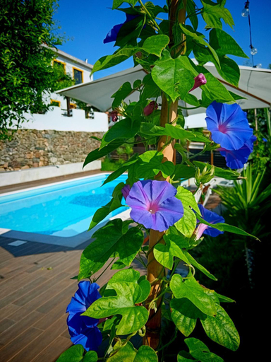 Sport & Beauty 2, Quinta do Chafariz, Vila Nova de Poiares