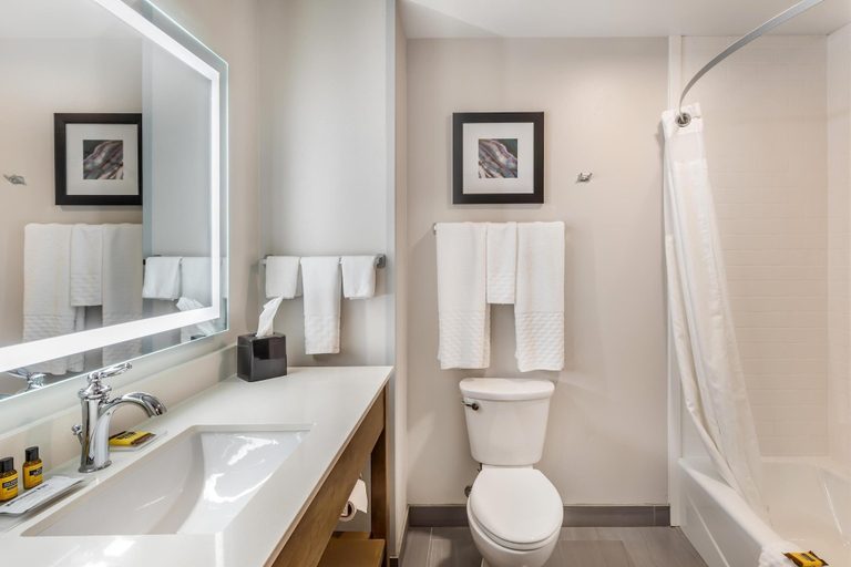 Bathroom 5, Best Western Plus Rapid City Rushmore, Pennington