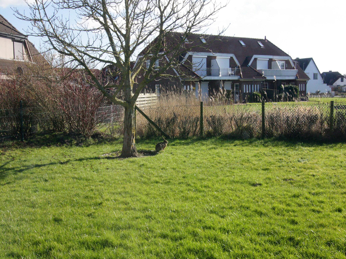 Others 4, Ferienwohnung im Reihenhaus, Friedrichskoog-Spitze, Dithmarschen