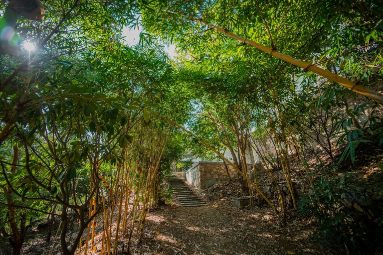 Others 2, Villa Bougainvillaea, Udaipur