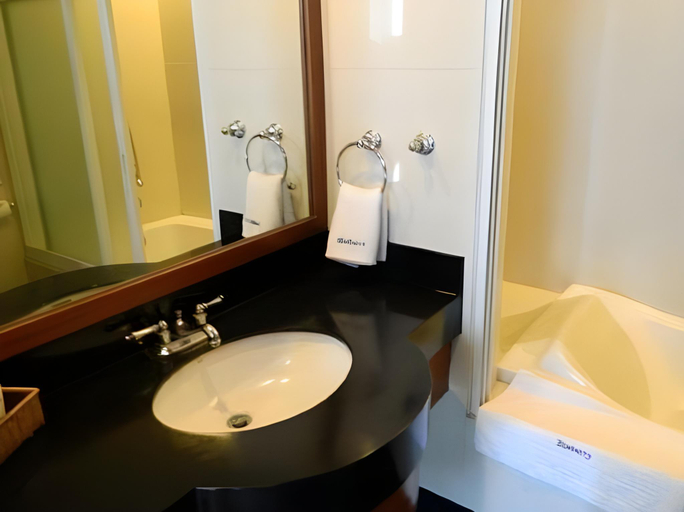 Bathroom 4, Blueberry Tourist Hotel, Davao City