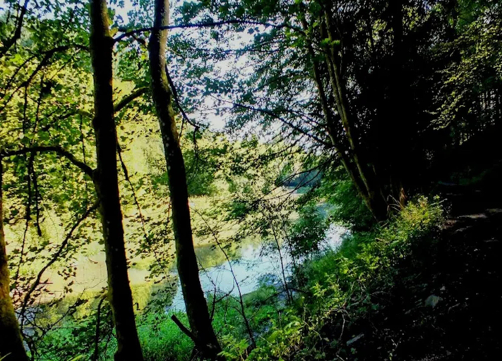 View from property 2, Moderne Gemeinschaftsunterkunft in Winterberg, Hochsauerlandkreis