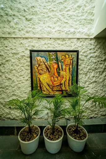 Others 3, Villa Bougainvillaea, Udaipur