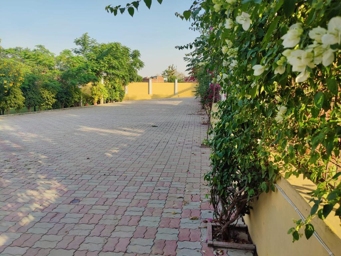 Others 5, Brick Field, Varanasi