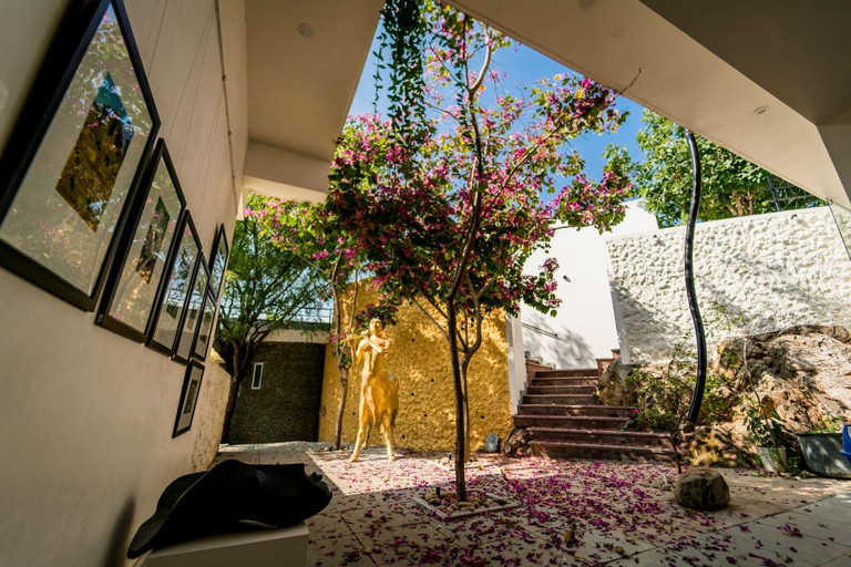 Others 4, Villa Bougainvillaea, Udaipur