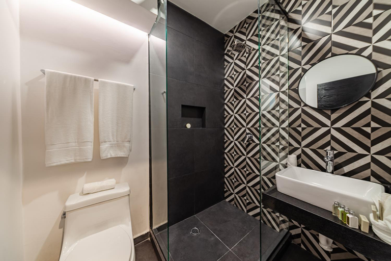 Bathroom 4, CASA NOU, Mexico City