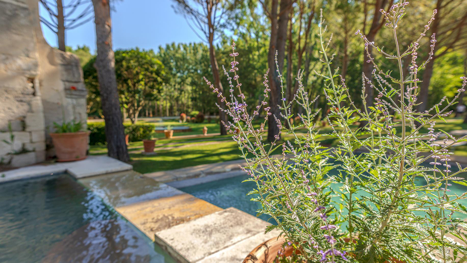 Sport & Beauty, Chateau Talaud, Vaucluse