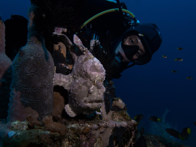 Others 3, VitaminSea Room, Dauin