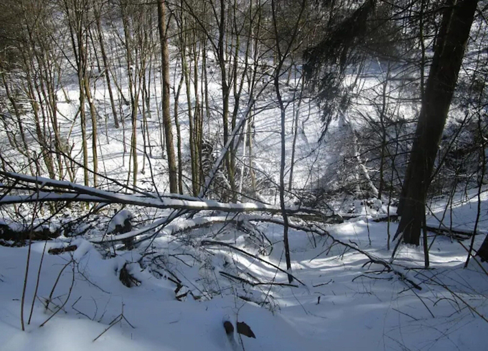 View from property 5, Moderne Gemeinschaftsunterkunft in Winterberg, Hochsauerlandkreis
