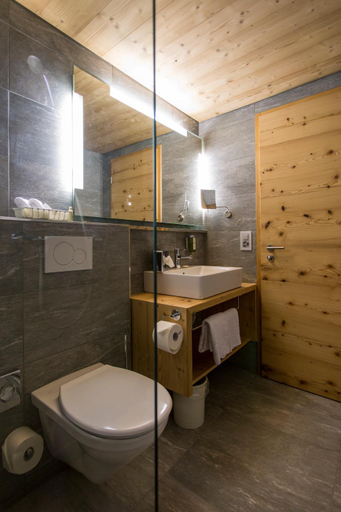 Bathroom 5, Hotel Rovanada Wellness & BergNatur, Surselva