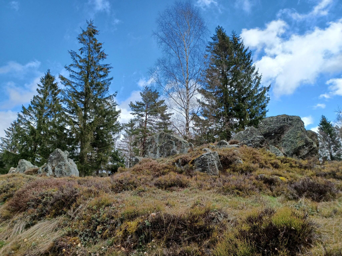 Others 2, Ferienhaus in der Nahe der Skipiste, Schwandorf
