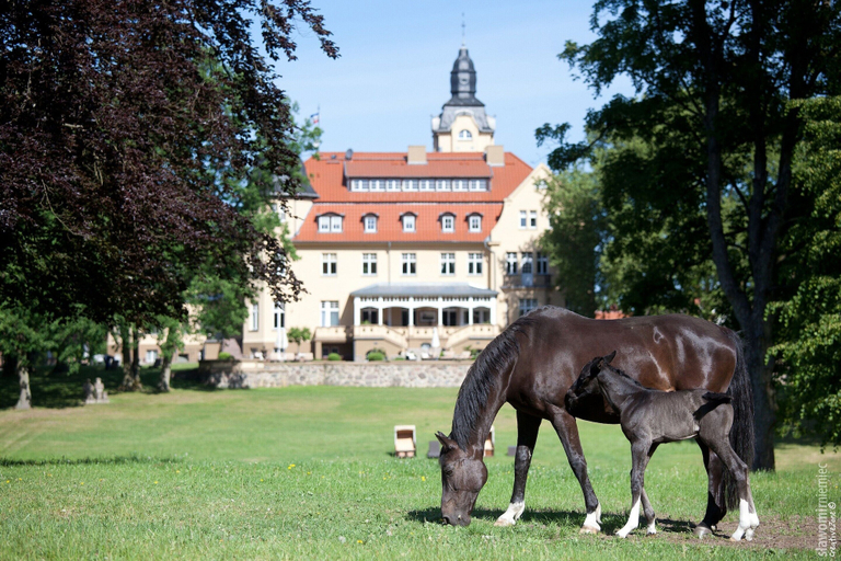 View from property 2, Ferienhaus Oliver, Wendorf, Ludwigslust-Parchim