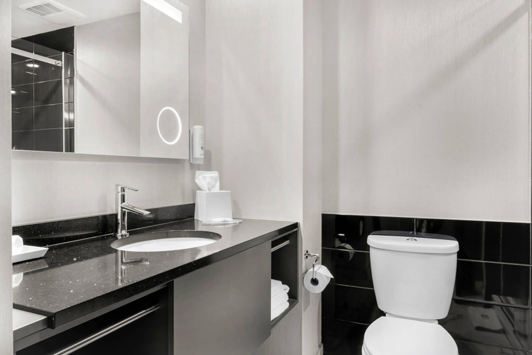 Bathroom 4, Quality Inn & Suites, La Mitis