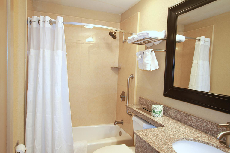 Bathroom 5, Travel Inn & Suites, Hunterdon