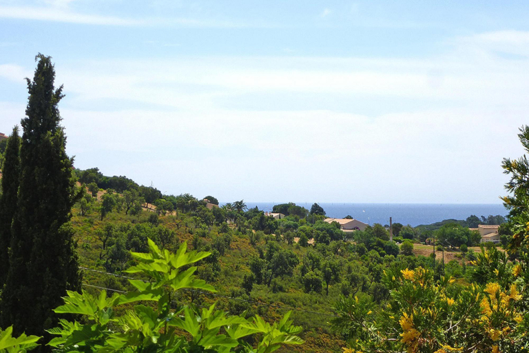 Others 5, Villa in Roquebrune with Sea View  Pool, Var