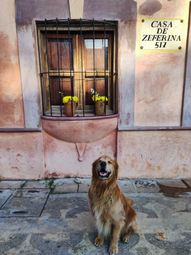 Others 3, Casa De Zeferina, Tuxtla Gutiérrez