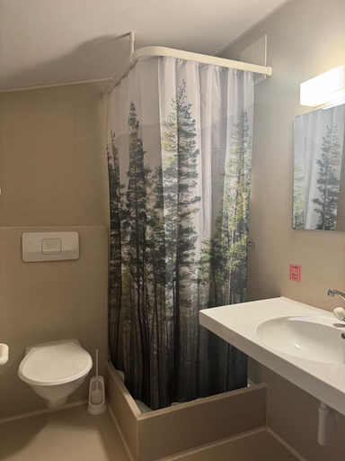 Bathroom 3, Gasthaus Hirschen, Sursee