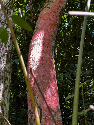 Others 2, Pousada Vale Das Aguias, Jaguaruna